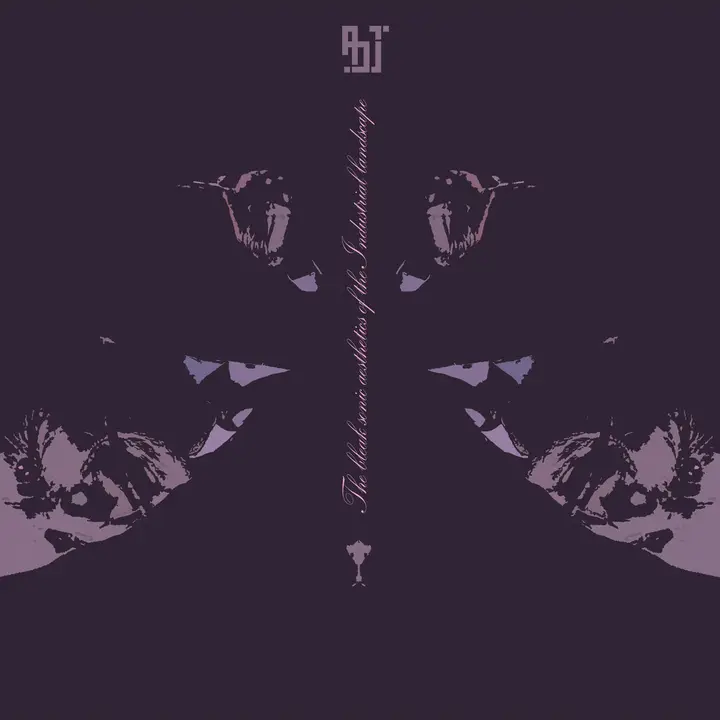 The bleak sonic aesthetics of the Industrial landscape — single artwork
